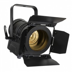 Proiector Fresnel BT-THEATRE 20WW - 1